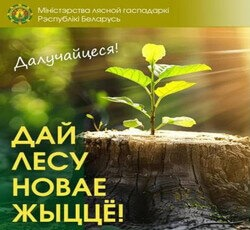 Акция «Дай лесу новае жыццё!»